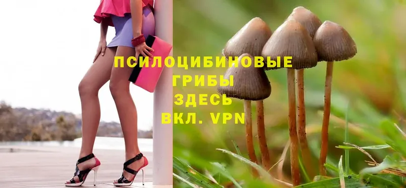 Галлюциногенные грибы Magic Shrooms  Байкальск 